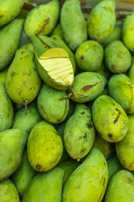 Mangga Segar